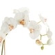 preview thumbnail 4 of 2, Phalaenopsis Orchid Drop-In 26"