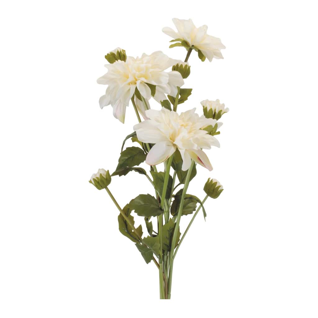 Dahlia Flower Bundle (Set of 2)