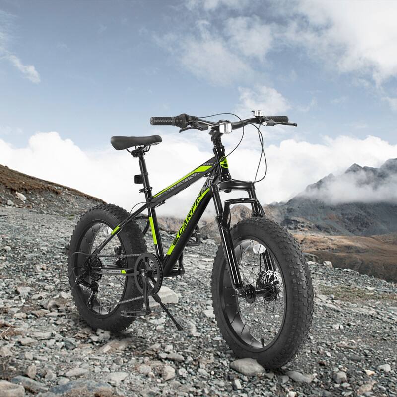20 in. 7 Speed Steel Mountain Bike with Fat Tire - Green