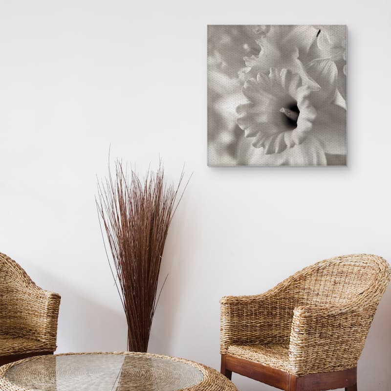 Florison #45 by Alan Blaustein Canvas Art Print