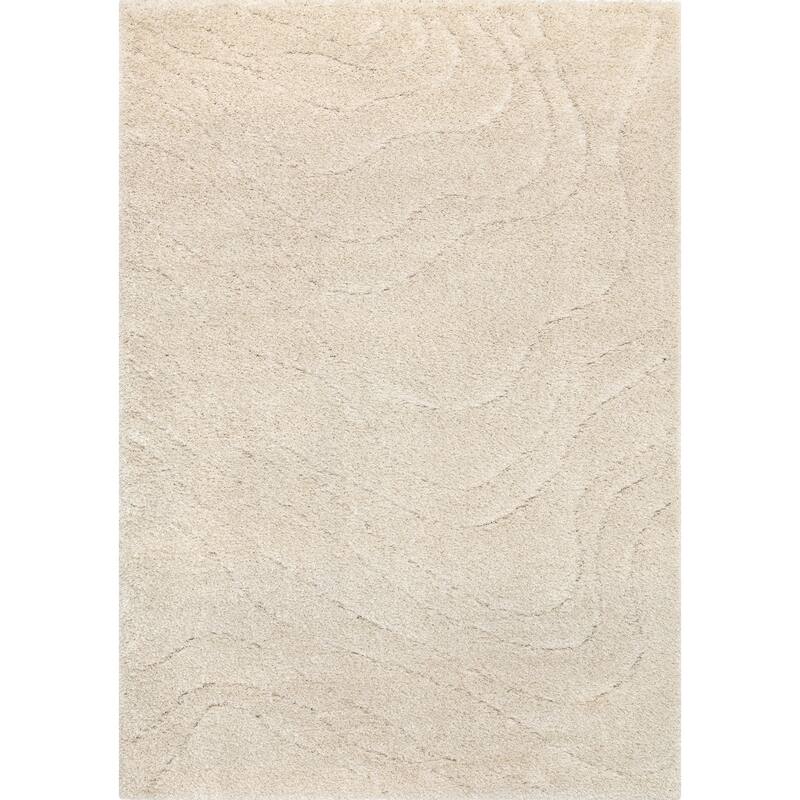 HomeRoots Abstract Modern Rectangle Area Rug