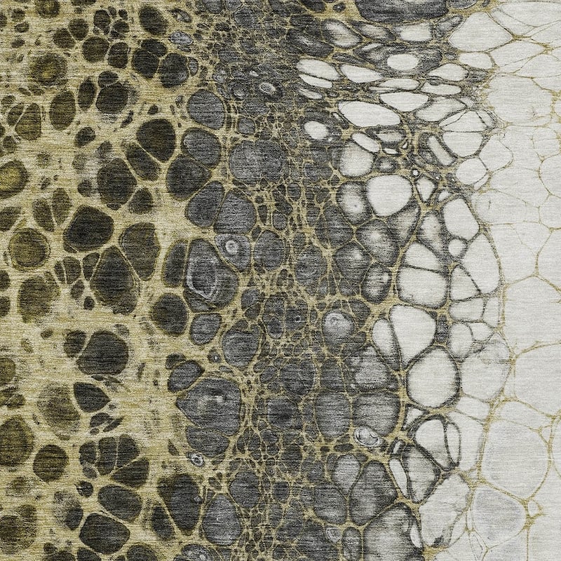HomeRoots Abstract Transitional Rectangle Outdoor Rug