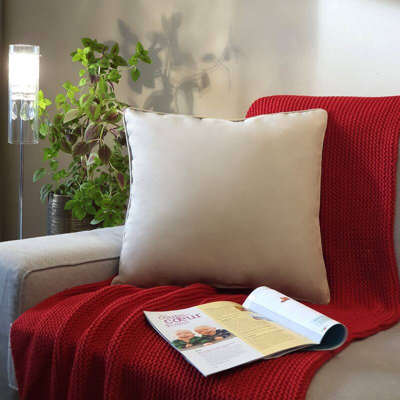 Seren Velvet Decorative Pillow 20 x 20 - 20" x 20" - Oyster