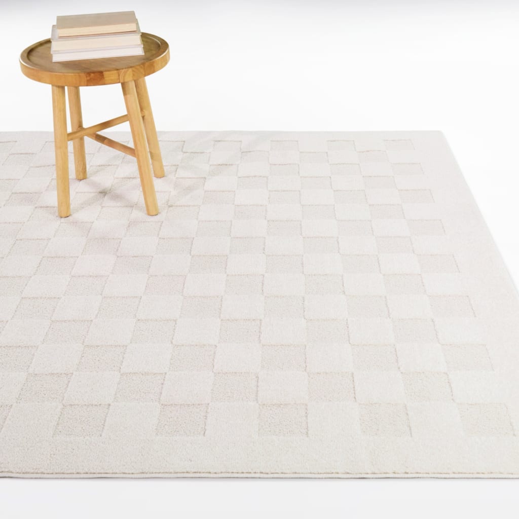Abram Checkered High-Low Indoor/Outdoor Area Rug