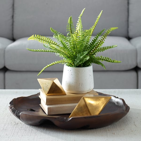 where to buy zz plant ZZ Plant: Easy Live Houseplant - (6” Pot) – Easy Plant Care – Zamiocul –  Altman Plants main image 1