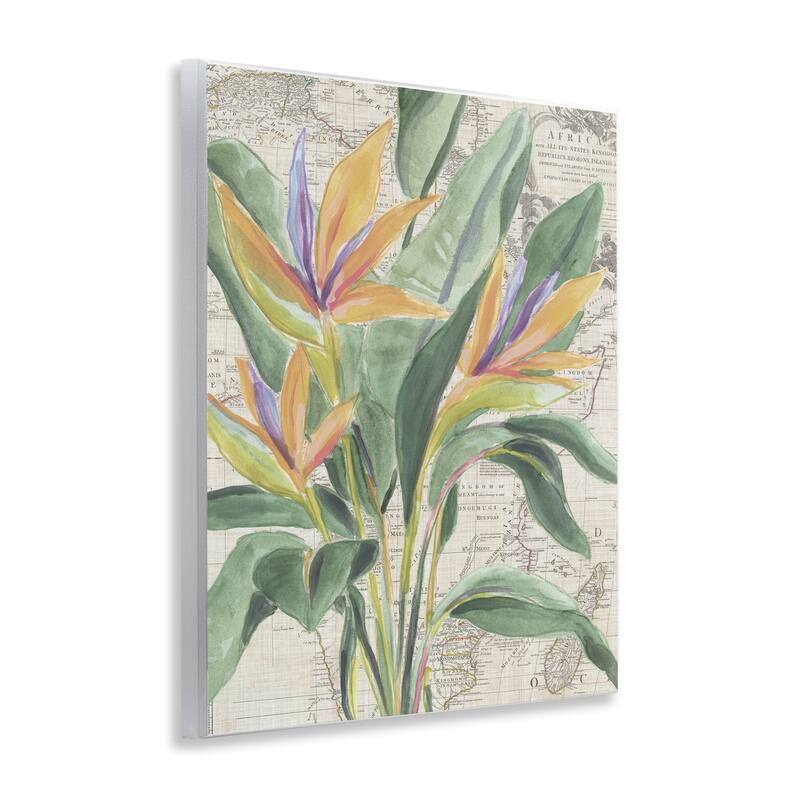 Stupell Bird of Paradise over Map Wall Plaque Art Design By June Erica Vess