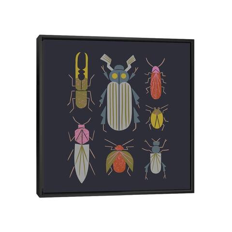 iCanvas "Beetle Specimens" by Renea L. Thull Framed Canvas Print