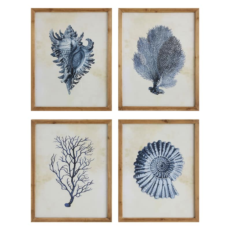 Wood Framed Wall Art with Shells & Coral