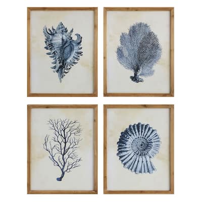 Wood Framed Wall Art with Shells & Coral