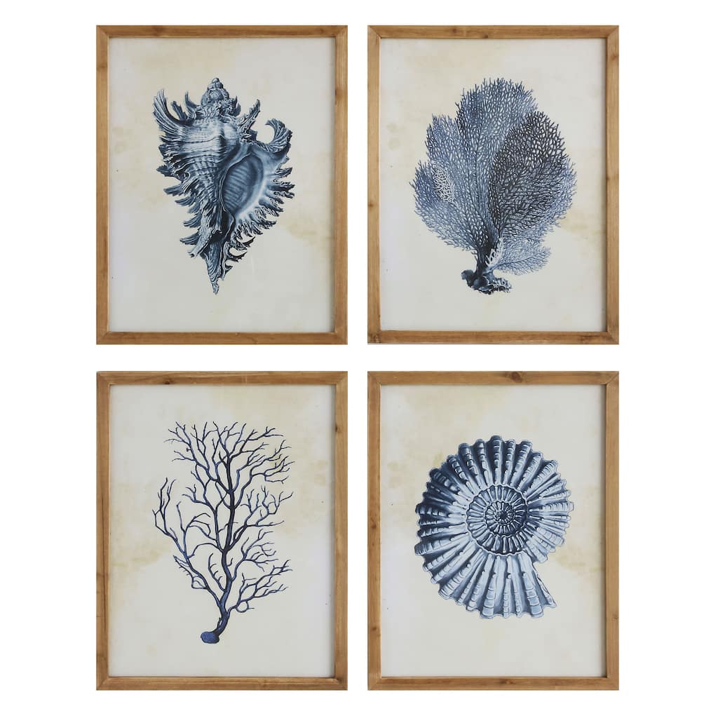 Wood Framed Wall Art with Shells & Coral