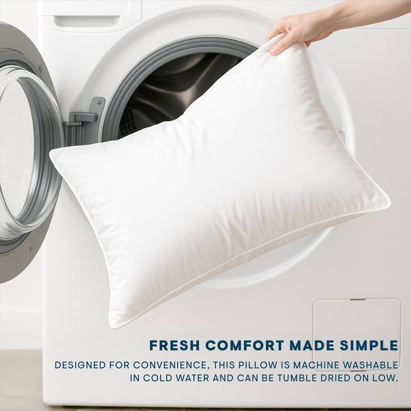 Aeropostale Bed Pillows, 2 Pack Pillows with Chevron Printed Gusset