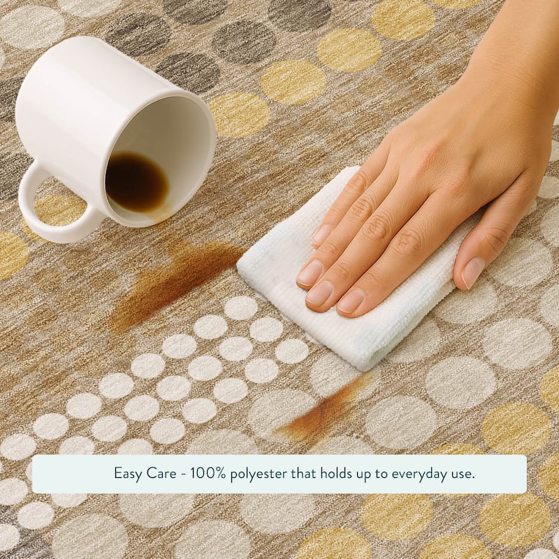 Machine Washable Indoor/ Outdoor Casual Dotty Chantille Rug