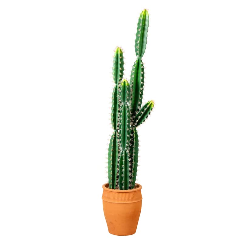 Cactus Artificial Plant with Terracotta Planter - 5'