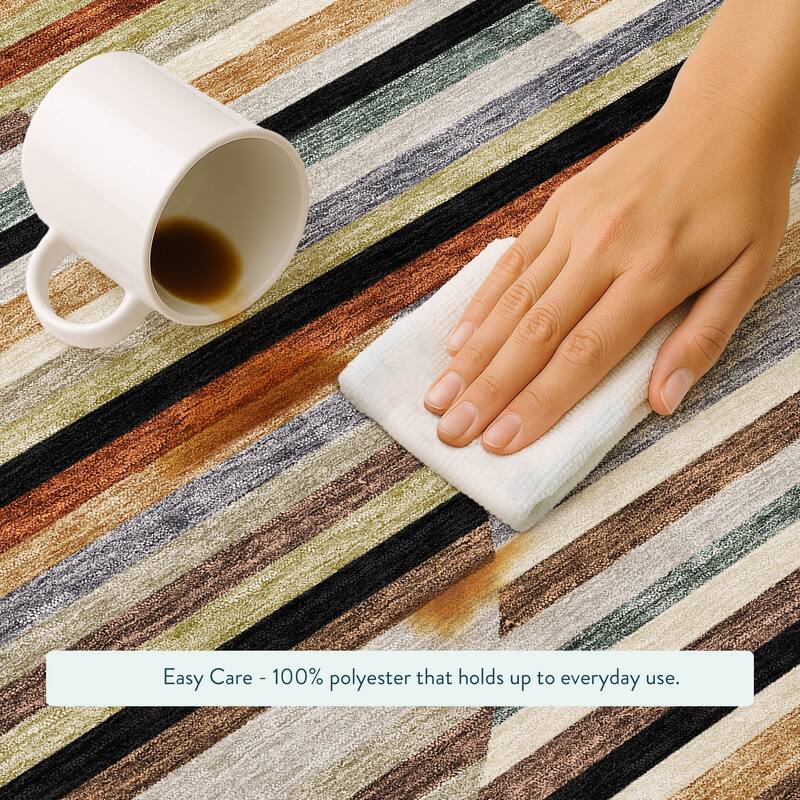 Machine Washable Indoor/ Outdoor Modern Cokedale Chantille Rug