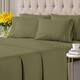 Option Sage Green