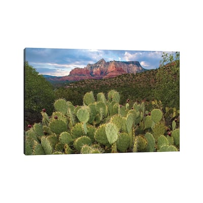 iCanvas "Opuntia Cactus And Mountain, Red Rock-Secret Mountain Wilderness, Arizona" by Tim Fitzharris Canvas Print