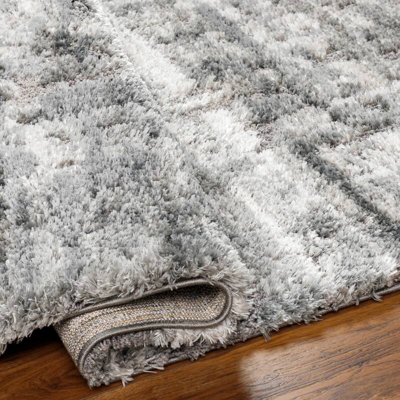 Emery Casual Area Rug