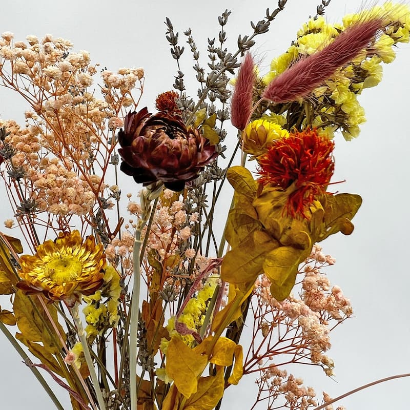 Real Preserved Mixed Bouquets Mix 1 Small - Med - Large - Multi Colored
