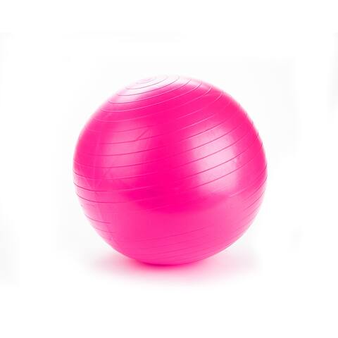 Mind Reader 55A Anti-Burst Exercise Yoga Ball with Pump Stability Balance - 21.65" x 21.65" x 21.65"