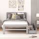 Option Grey