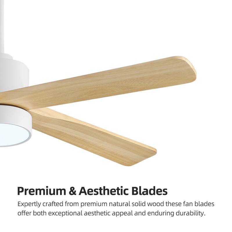 WINGBO 54" and 64" 5 ABS Blades DC Motor Indoor Ceiling Fan with Light & Remote