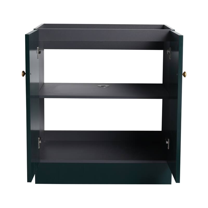 Modern 30 Inch Freestanding Bathroom Vanity Base without Sink, Storage Cabinet with Soft-Close Doors and Adjustable Shelves