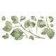 preview thumbnail 4 of 3, RoomMates Green & Brown & Yellow Leaf Twig Giant Wall Decals