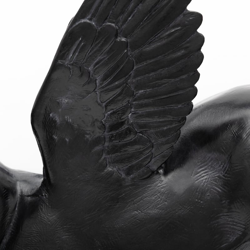Hogbadi Black Resin Flying Pigs Decorative Wall Accents, Set of 2