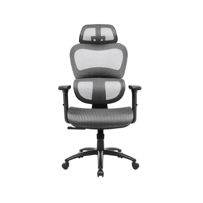 Mesh Ergonomic Office Chair w/ Lumbar Support and Adjustable Headrest