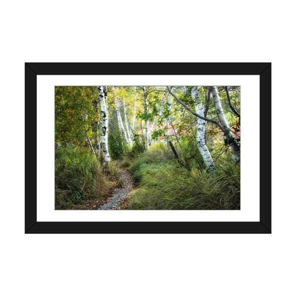 slide 2 of 20, iCanvas "Birch Trees & Tall Grass" by Danny Head Black - 24x32x1