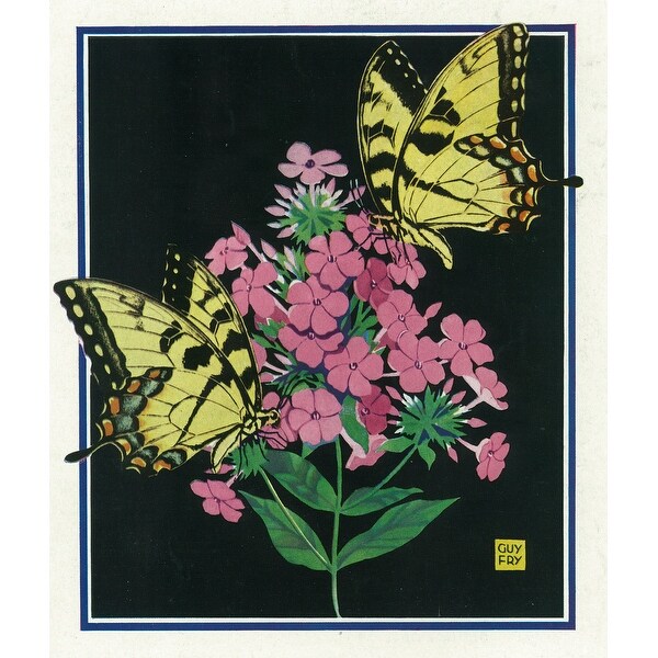 Nature Magazine View Of Butterflies On Blooming Flowers Art Print Multiple Sizes Available 9 X 12 Art Print