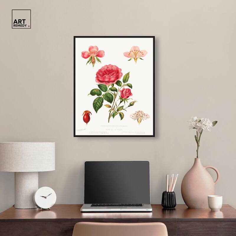 Rose and its parts (1872) Canvas by Art Remedy