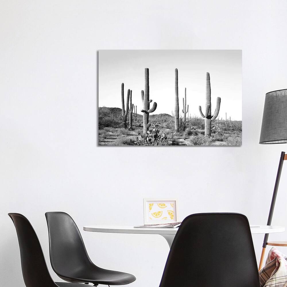 iCanvas "Gray Cactus Land" by Sisi & Seb Canvas Print