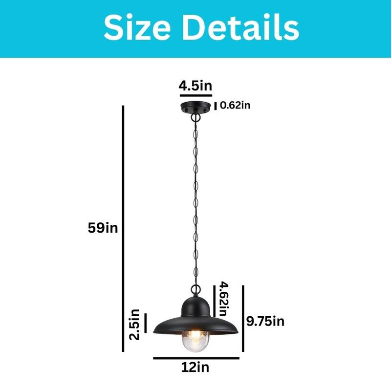 12” Light fixture black pendant light glass, iron hanging light