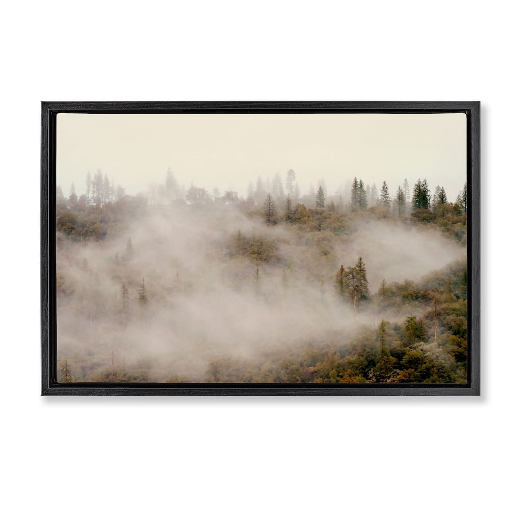 Stupell Morning Fog over Trees Framed Floater Canvas Wall Art Design By Gemma Bardot
