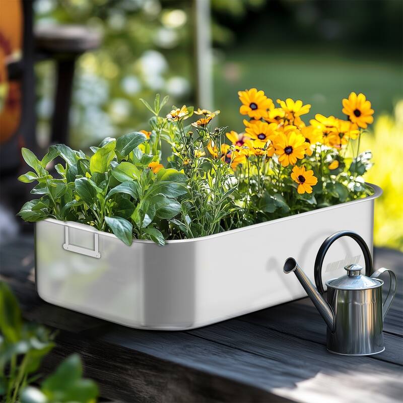 Stainless Steel Planter Box with Wire Handle Greenhouse Planting Box (set of 3)