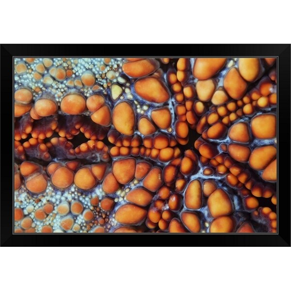 "Sea star" Black Framed Print