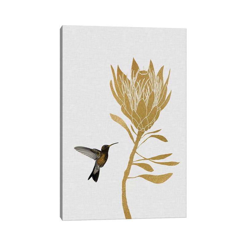 iCanvas "Hummingbird & Flower II" by Orara Studio Canvas Print