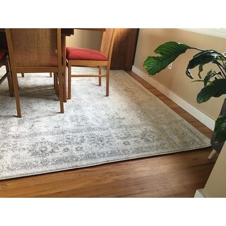 Safavieh Adirondack Dakota Distressed Vintage Boho Oriental Rug