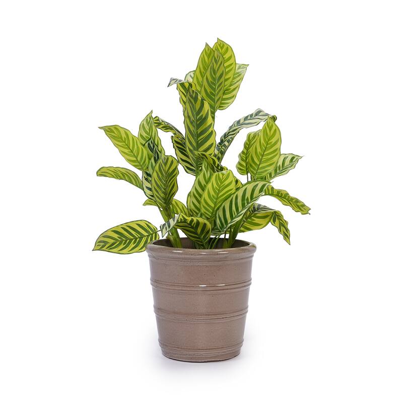 Handmade Glazed Ceramic Planter Set of 3, 16/13/10 Inch Diameter, Horizontal Rib Design