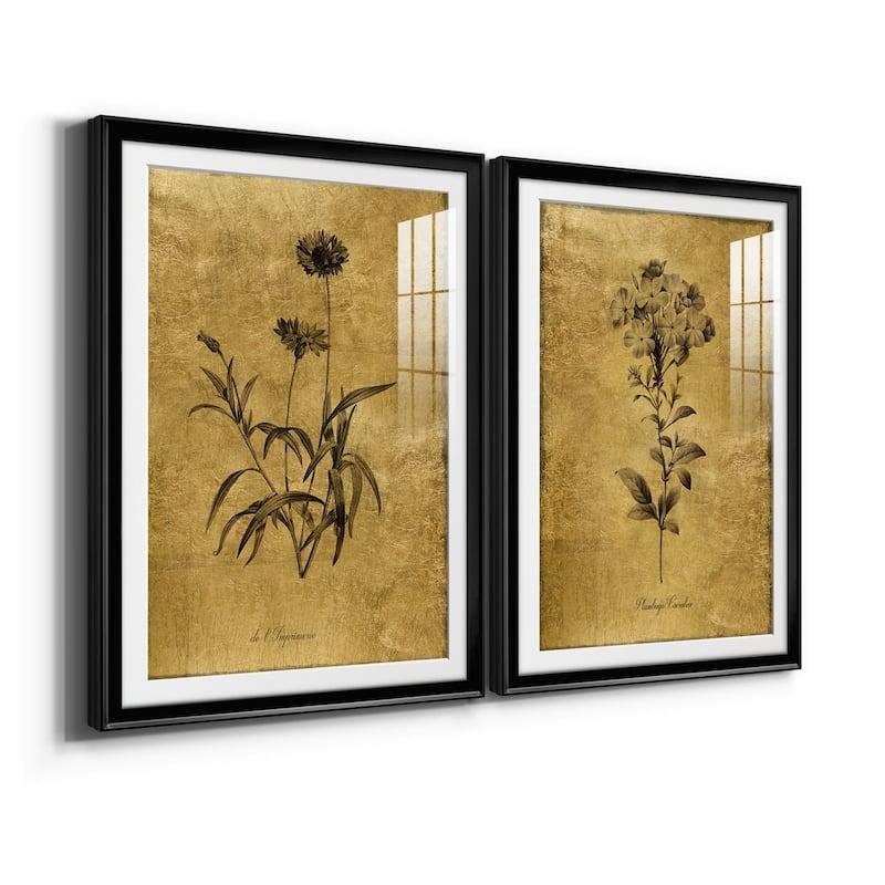 Gold Sketch Botanical I Premium Framed Print - Ready to Hang