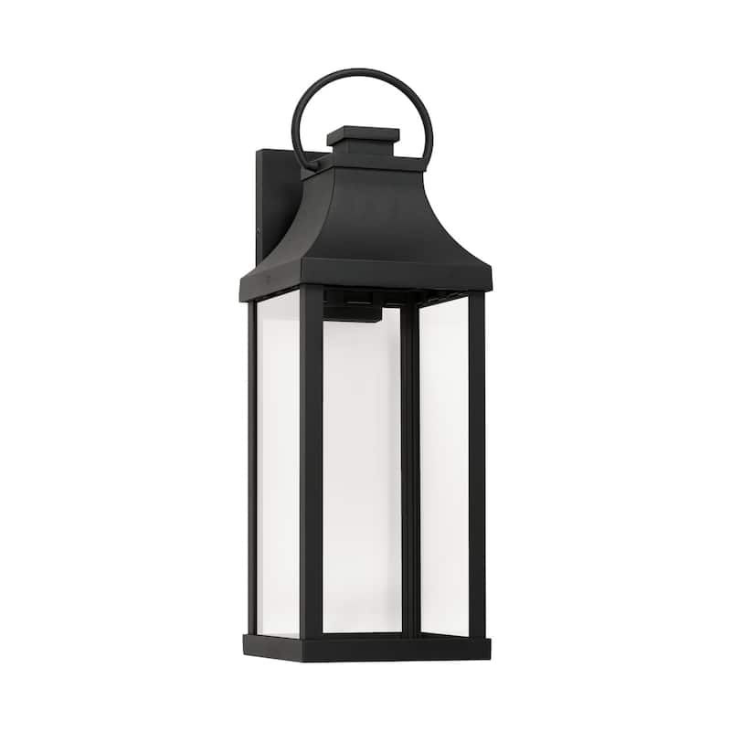Bradford Outdoor 1-light Medium LED Wall Lantern w/ Clear Glass - Black
