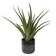 preview thumbnail 3 of 1, Uttermost Tucson Aloe Planter - 17"W x 19"H x 17"D
