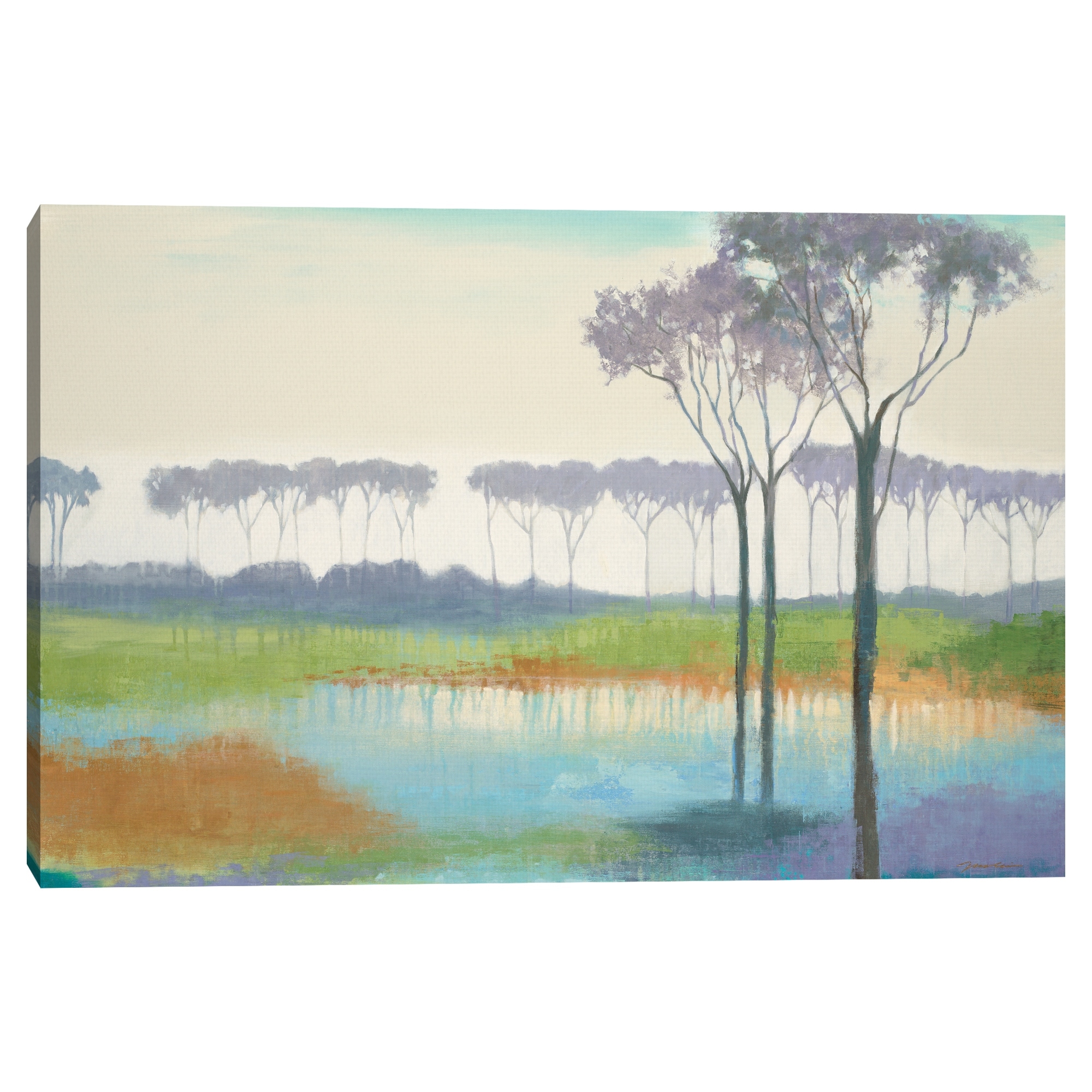 Imaginary Days by Liz Jardine Canvas Art Print