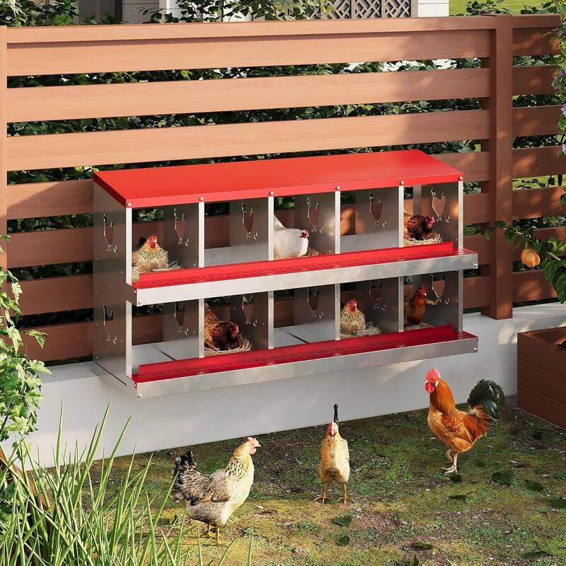Wall-Mount or Free-Standing Metal Chicken Nesting Box for Hens, Red - Red 10 Compartments