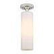 Option Satin Nickel / Matte White