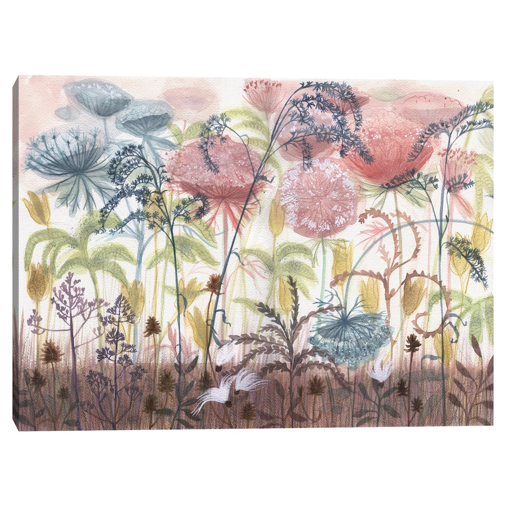 Queen Annes Lace by Maret Hensick Canvas Art Print