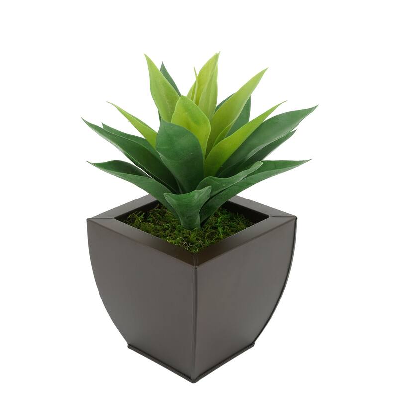 Faux Frosted Light Green Succulent in Tapered Zinc Planter - Matte Brown