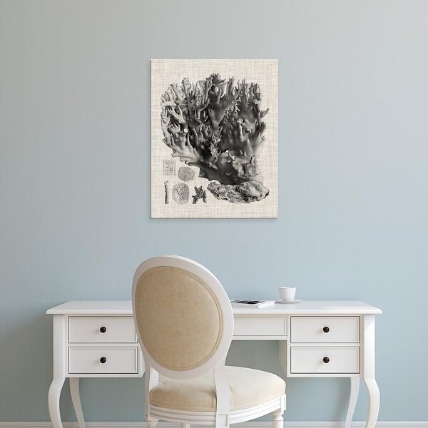 Easy Art Prints Vision Studio's 'Coral Specimen V' Premium Canvas Art
