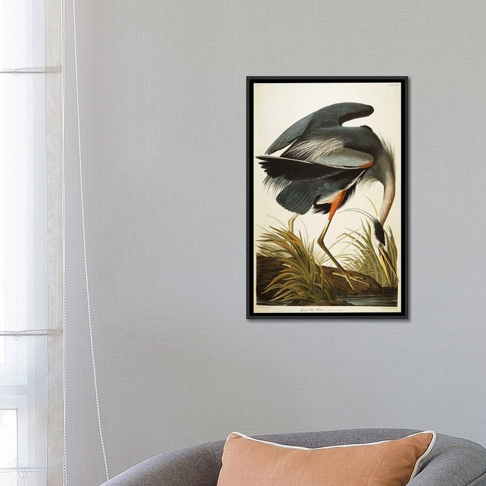 iCanvas "Great Blue Heron " by John James Audubon Framed Canvas Print